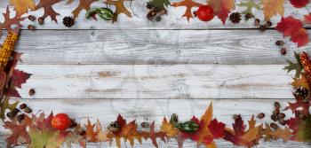 Autumn decorations made of leaves, acorns, corn and pine cones in rectangle border on white rustic wood for Thanksgiving or Halloween season