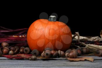 Pumpkin for Thanksgiving or Halloween holiday with dark background setting