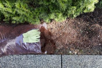 Replacing existing red bark mulch in shrubs with work gloves on top of open new bag 
