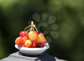 Freshly picked organic rainier cherries in small bowl in natural daylight with bokeh effect and select focus 