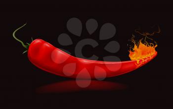 Burning pepper in black, vector illustration