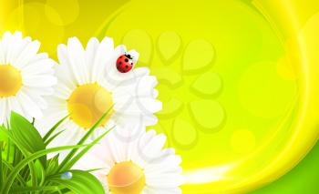 Daisy background, 10eps