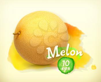 Melon, vector illustration