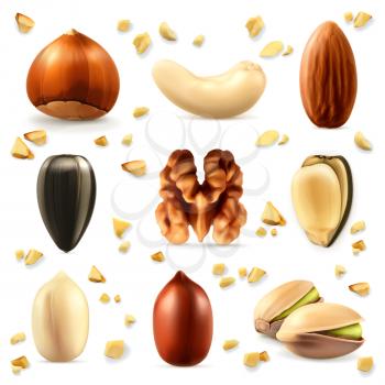Nuts, vector icon set