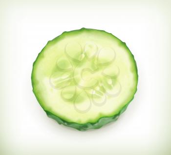 Slice of cucumber, vector