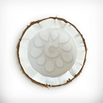 Coconut, vector icon