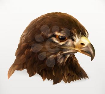 Eagle head, realistic vector illustration