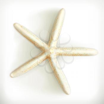 Starfish, vector icon