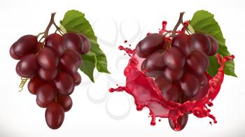 Red wine splash and grapes. Fresh fruit, 3d vector icon