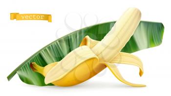 Banana on green leaf. Fresh fruit. 3d realistic vector icon
