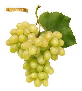 White sweet table grapes. Fresh fruit, 3d realistic vector
