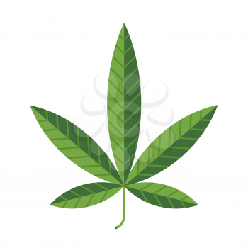 Hemp leaf symbol. Vector, isolated on white.