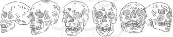 Skull vector doodle in different poses. Vector doodle set