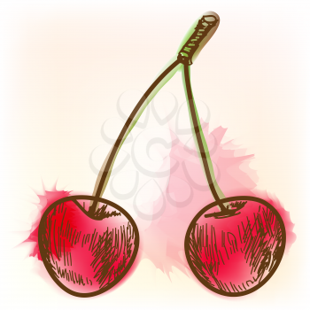 Ripe cherry. Original vector illustration, imitation of watercolor painting