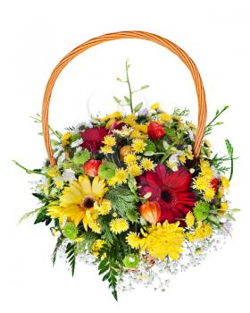 colorful flower bouquet arrangement centerpiece in a wicker gift basket isolated on white background.