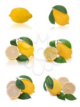set of fresh lemon citrus with cut and green leaves isolated on white background
