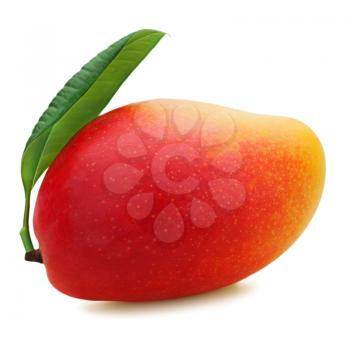 Fresh mango fruit isolated on white background.