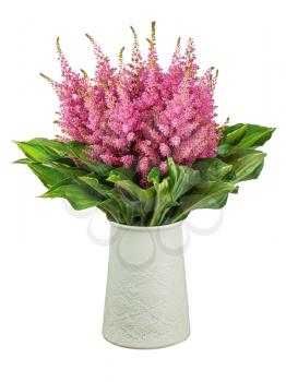 Colorful bouquet from astilbe and funkia flowers in vase isolated on white background. Closeup.