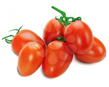 Royalty Free Photo of Tomatoes