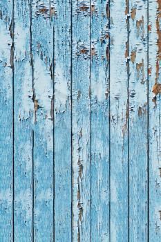Old blue wood plank background. Closeup.