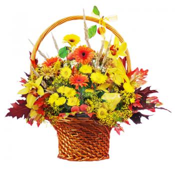 Colorful flower bouquet arrangement centerpiece in wicker basket isolated on white background. Closeup.