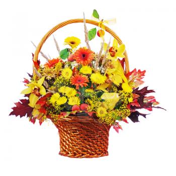 Colorful flower bouquet arrangement centerpiece in wicker basket isolated on white background. Closeup.