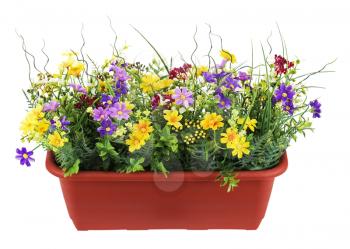 Floral bouquet from artificial wild flowers in a flowerpot isolated on white background. Closeup.