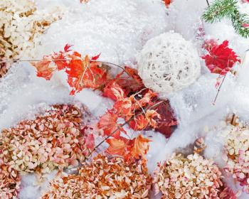 Bouquet from hydrangea, autumn leaves and snow.