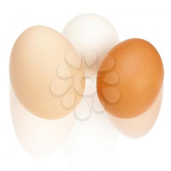 Colorful chicken eggs isolated on white background. Closeup.