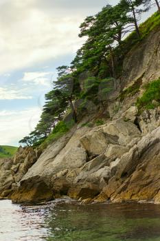 Beautiful seascape with rocks and groves of relict Pinus densiflora Siebold et Zucc. Japanese Sea. South of Primorsky Krai. Vladivostok. Russia.