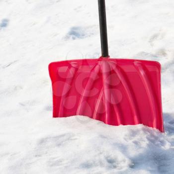 
Red plastic shovel for snow removal. Winter is coming.