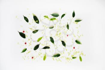 Pattern with petals of chrysanthemum flowers, ficus leaves and ripe rowan on white background. Overhead view. Flat lay.
