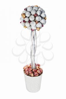 Abstract composition from nuts and dry roses arrangement centerpiece in vase isolated on white background.