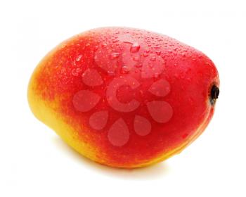 Fresh mango fruit isolated on white background. Closeup.