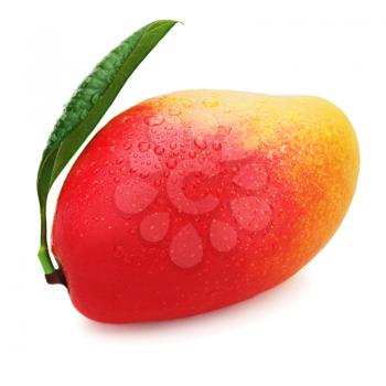 Fresh mango fruit with green leaves isolated on white background.