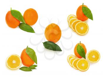 Set of fresh ripe orange fruits with cut and green leaves isolated on white background.
