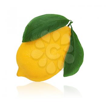 fresh lemon citrus with green leaves isolated on white background