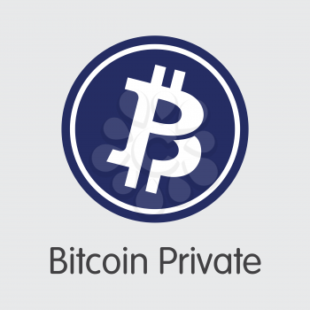 Bitcoin Private BTCP . - Vector Icon of Digital Currency. 