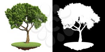 Nice Green Tree on White Background with Detail Raster Mask Isolated on White.
