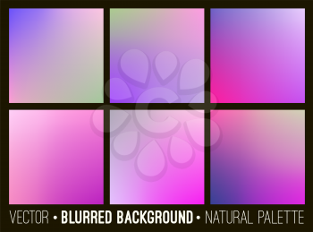 Color abstract blurred background set. Pink lilac violet palette. Smooth design elements collection flower concept