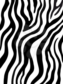 Zebra stripes pattern. Tiger stripes skin print design. Wild animal hide artwork background. Black and white vector illustration