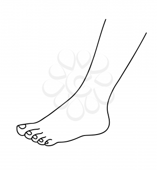 Human foot. Naked beautiful baby foot . Health, body care and beauty concept. Line art vector illustration