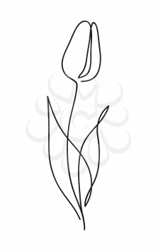 Beautiful tulip flower. Line art concept design. Continuous line drawing. Stylized flower symbol. Vector illustration