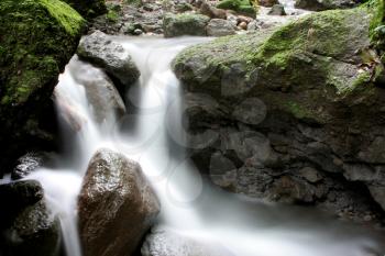 Small creek cascade in a rain forest