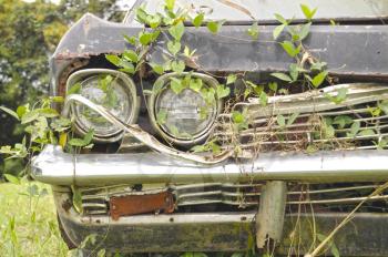 Old junk car with nature taking claim of it