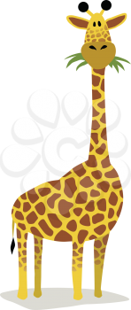 Royalty Free Clipart Image of a Giraffe Eating Grass