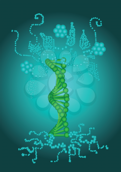 abstract model of the DNA in the form of a tree