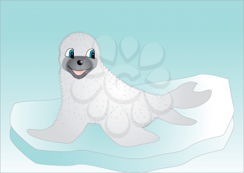 Seal on ice. Vector illustration of a cartoon seal sitting on an iceberg