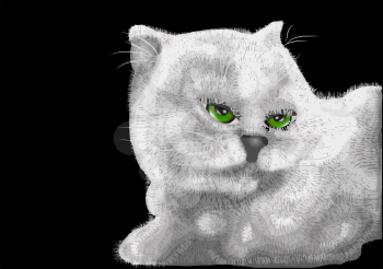 Royalty Free Clipart Image of a Kitten With Green Eyes on a Black Background