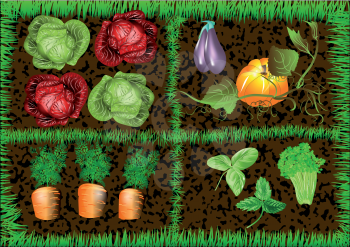 Royalty Free Clipart Image of Vegetables in a Green Frame